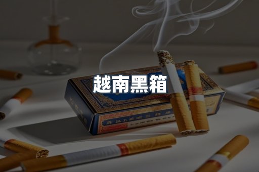 越南黑箱